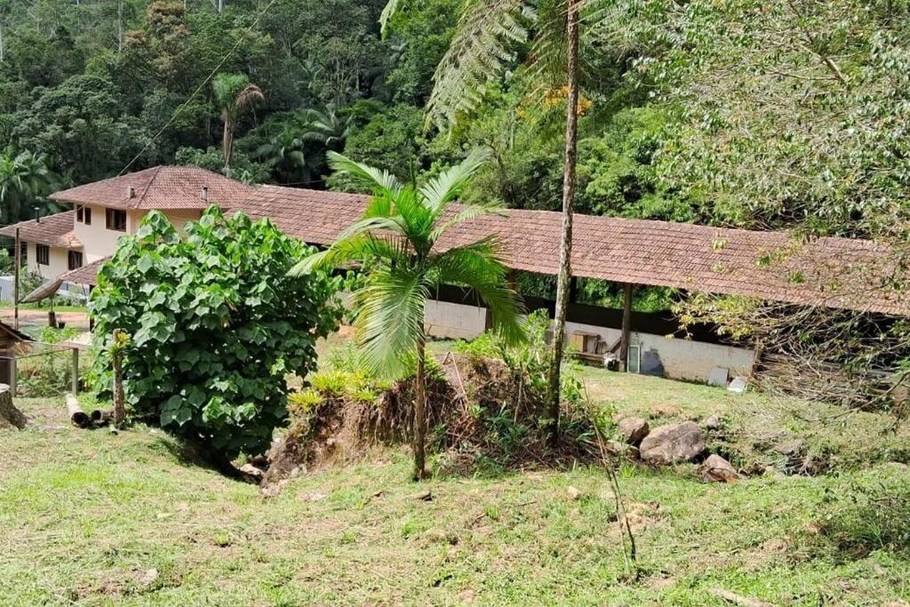 Sitio Som Das Aguas Benedito Novo 외부 사진