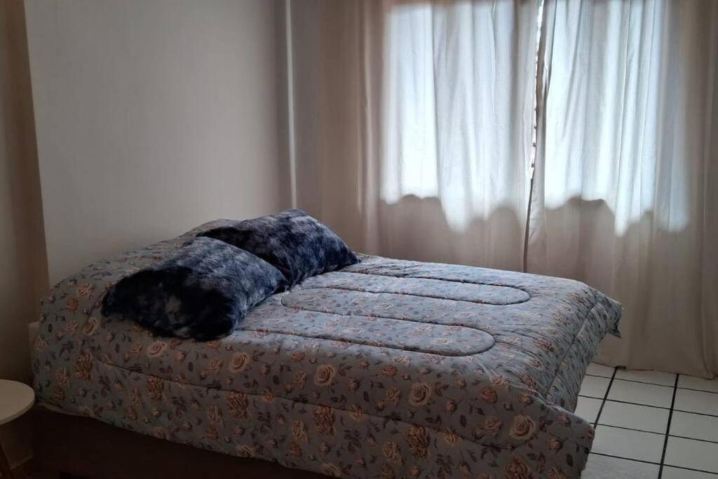 Sitio Som Das Aguas Benedito Novo 외부 사진