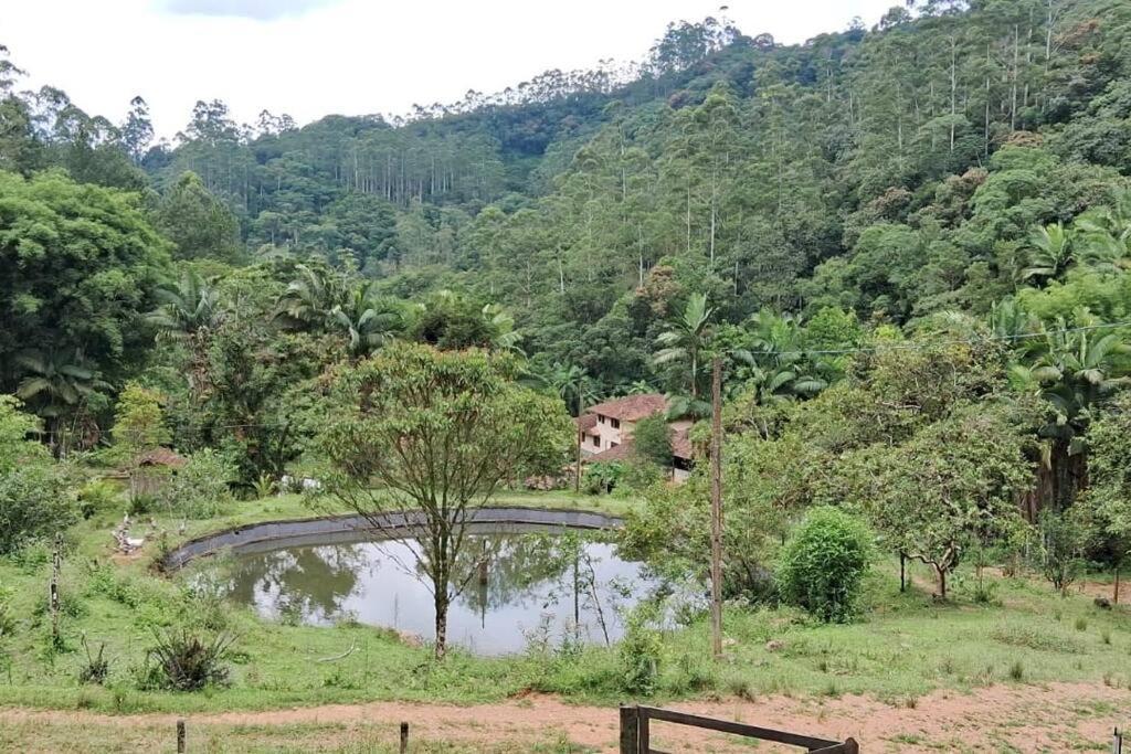 Sitio Som Das Aguas Benedito Novo 외부 사진