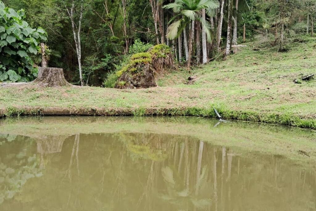 Sitio Som Das Aguas Benedito Novo 외부 사진