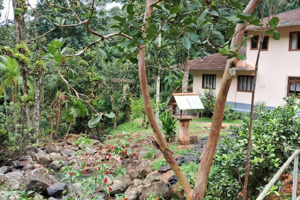 Sitio Som Das Aguas Benedito Novo 외부 사진