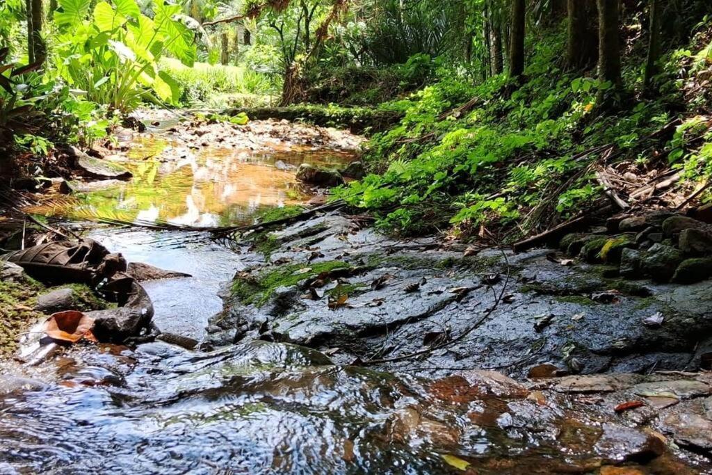 Sitio Som Das Aguas Benedito Novo 외부 사진
