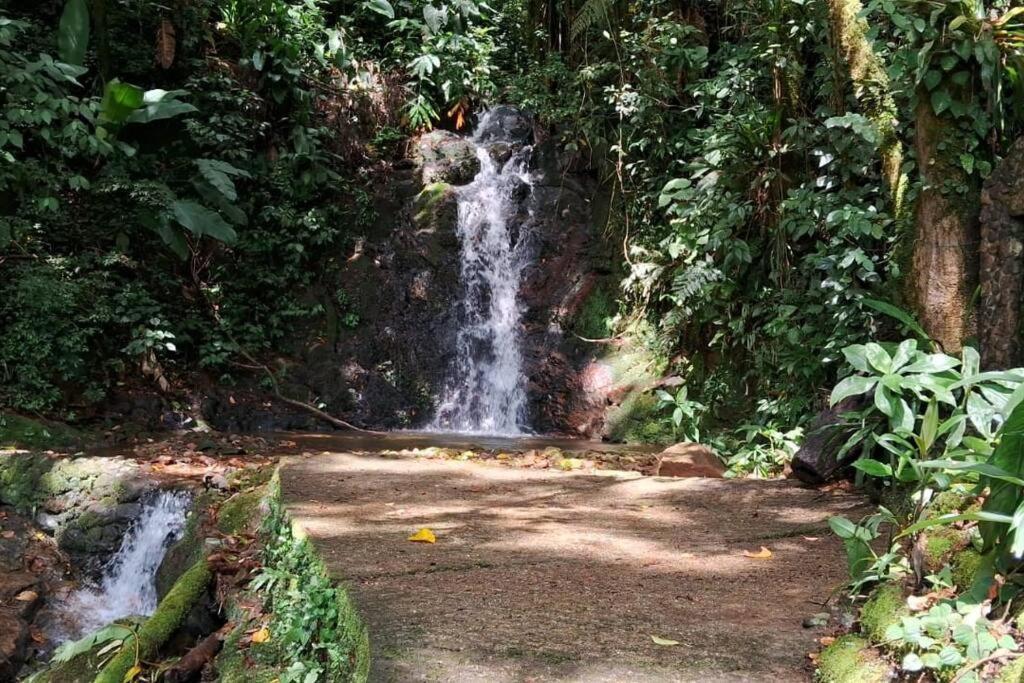 Sitio Som Das Aguas Benedito Novo 외부 사진