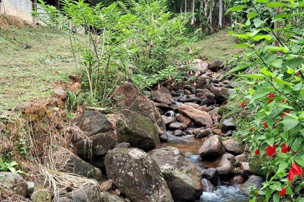 Sitio Som Das Aguas Benedito Novo 외부 사진
