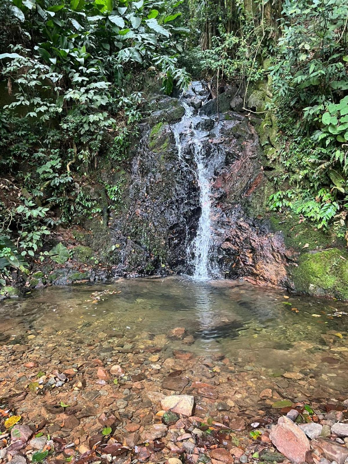 Sitio Som Das Aguas Benedito Novo 외부 사진