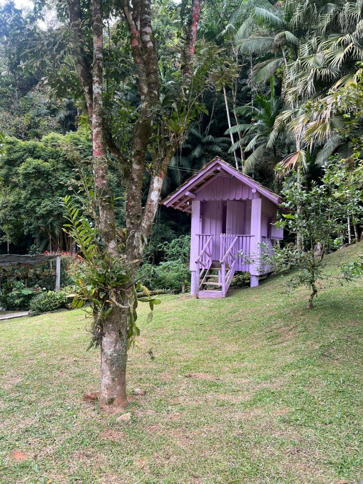 Sitio Som Das Aguas Benedito Novo 외부 사진