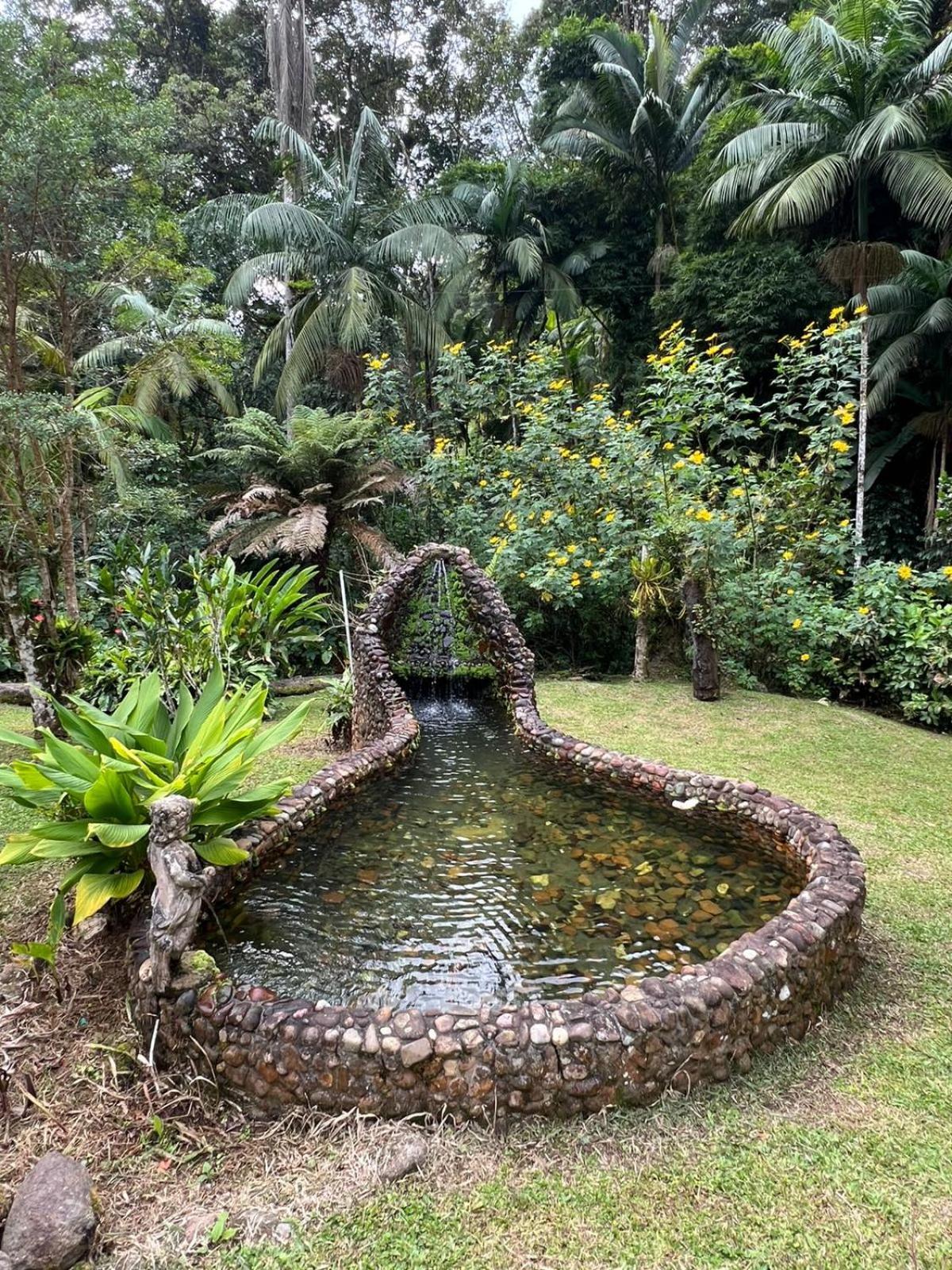 Sitio Som Das Aguas Benedito Novo 외부 사진