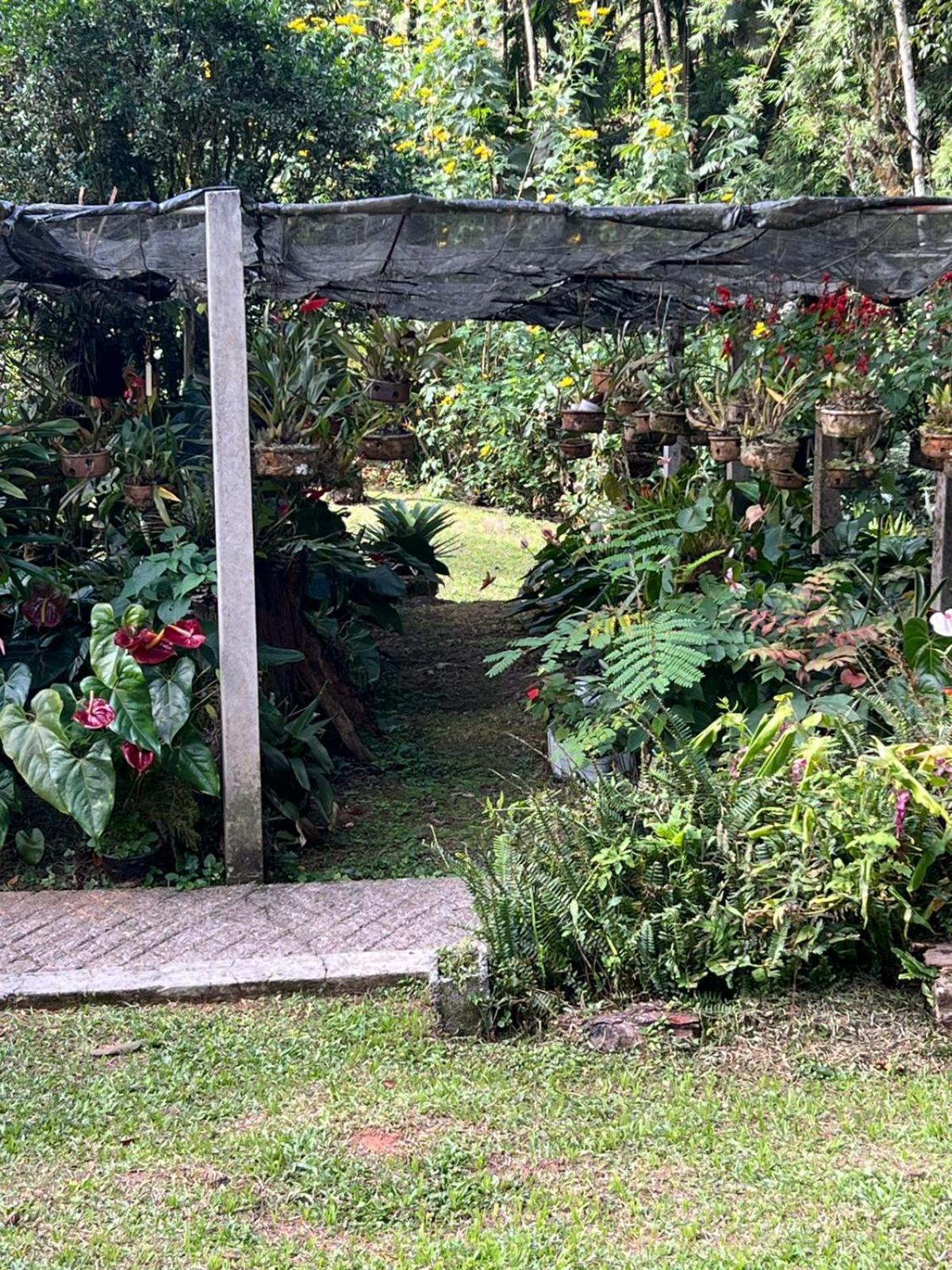 Sitio Som Das Aguas Benedito Novo 외부 사진
